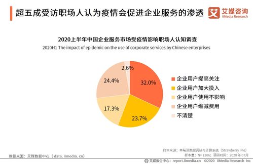 艾媒咨詢2020上半年中國企業服務發展全景報告 信息咨詢服務成為增長引擎